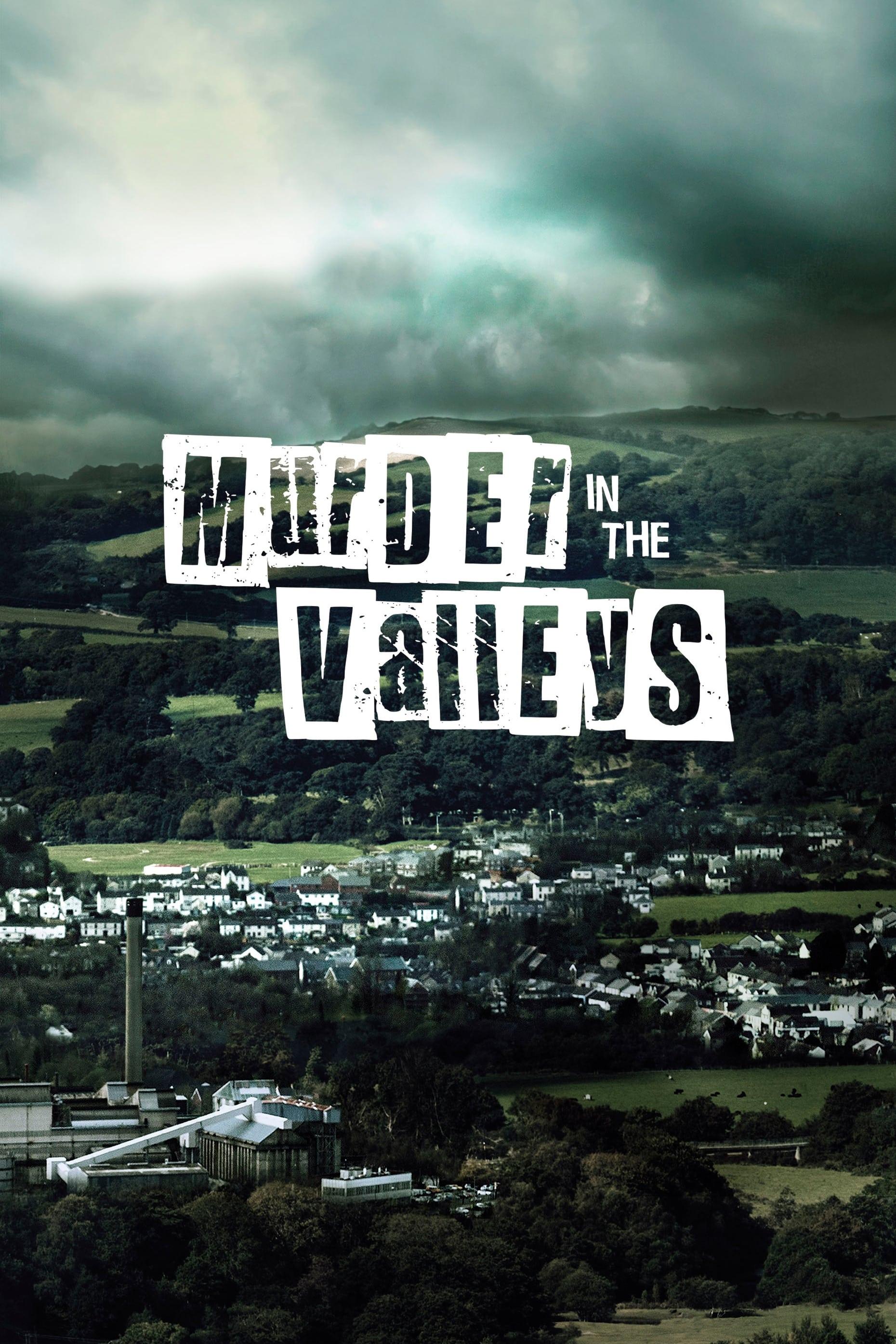 Murder In The Valleys poster