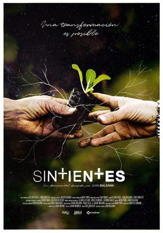 Sintientes poster