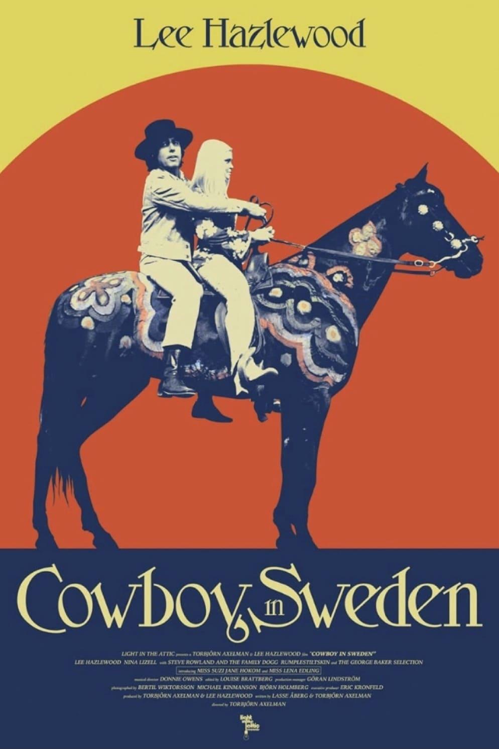 Cowboy in Sweden poster