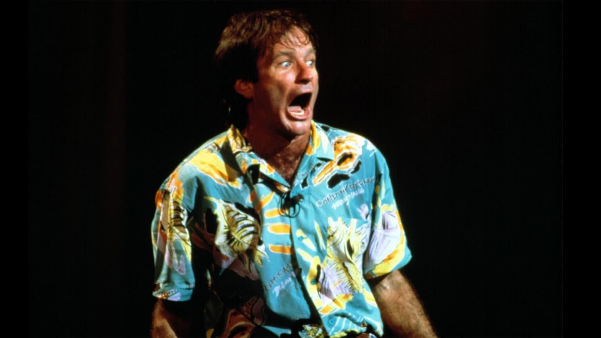 Robin Williams: An Evening at the Met backdrop