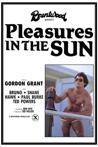 Pleasures In the Sun poster