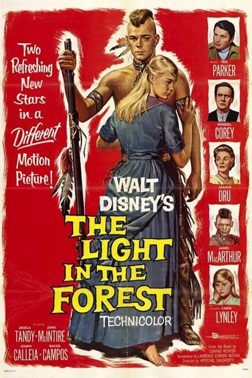 The Light in the Forest poster