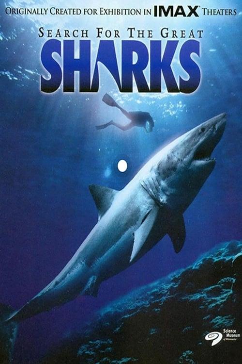 Search for the Great Sharks poster