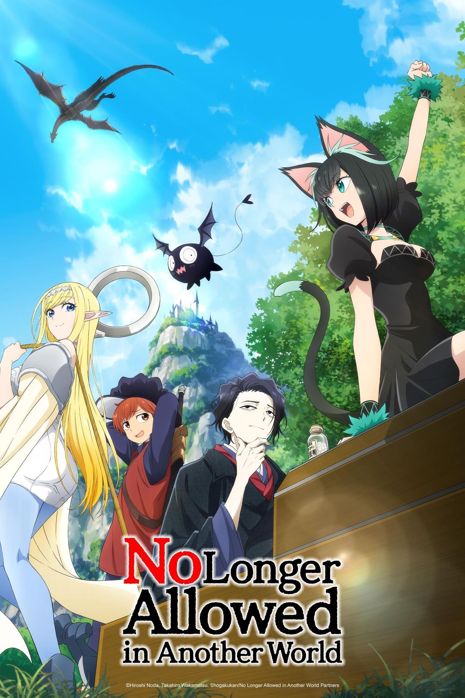 No Longer Allowed in Another World poster