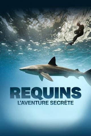 Sharks: The Secret Adventure poster