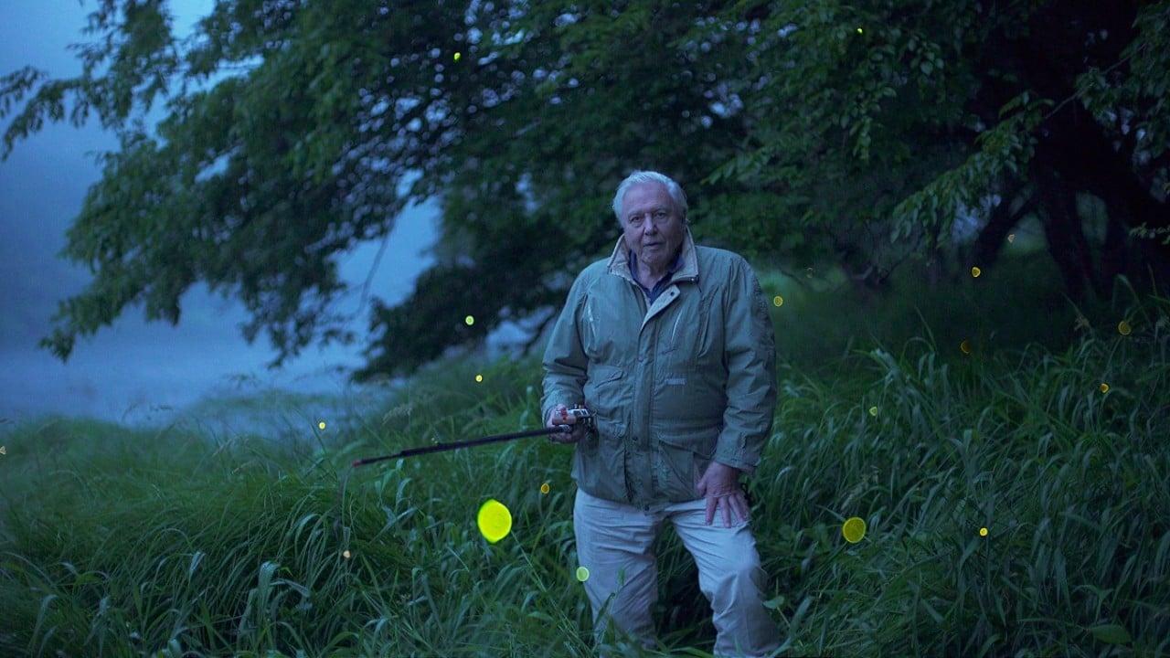 Attenborough's Life That Glows backdrop
