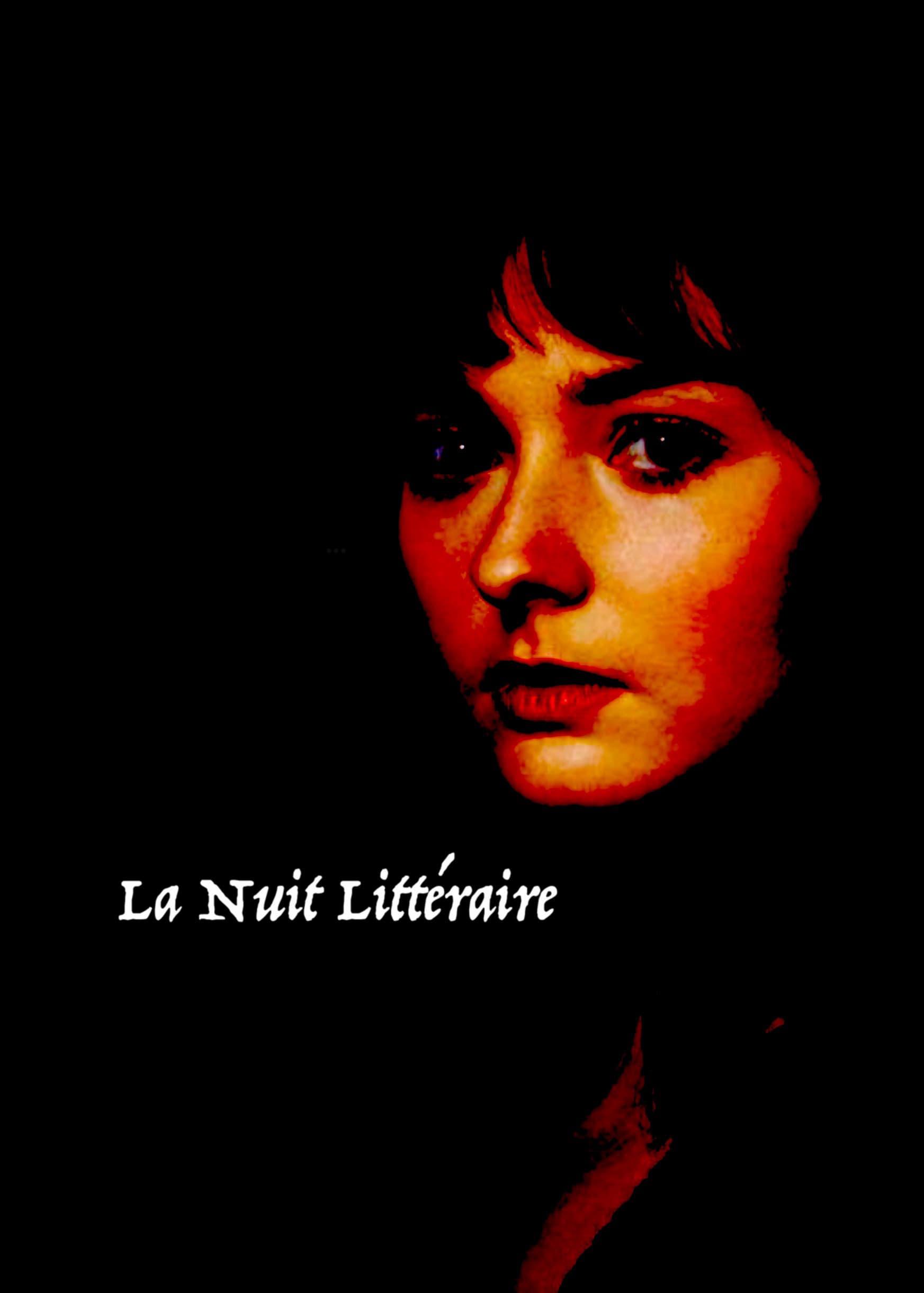 La nuit littéraire poster