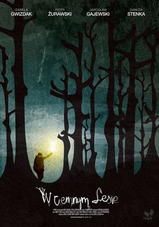 Into the Dark Woods poster