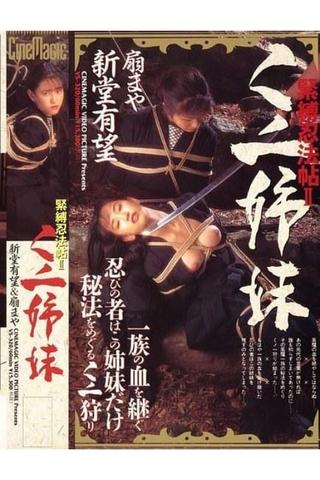 Ninja Sisters poster
