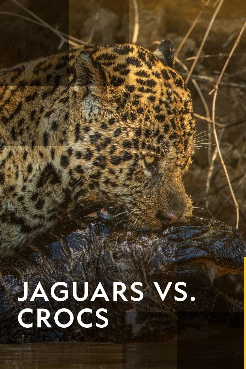 Jaguar vs. Croc poster