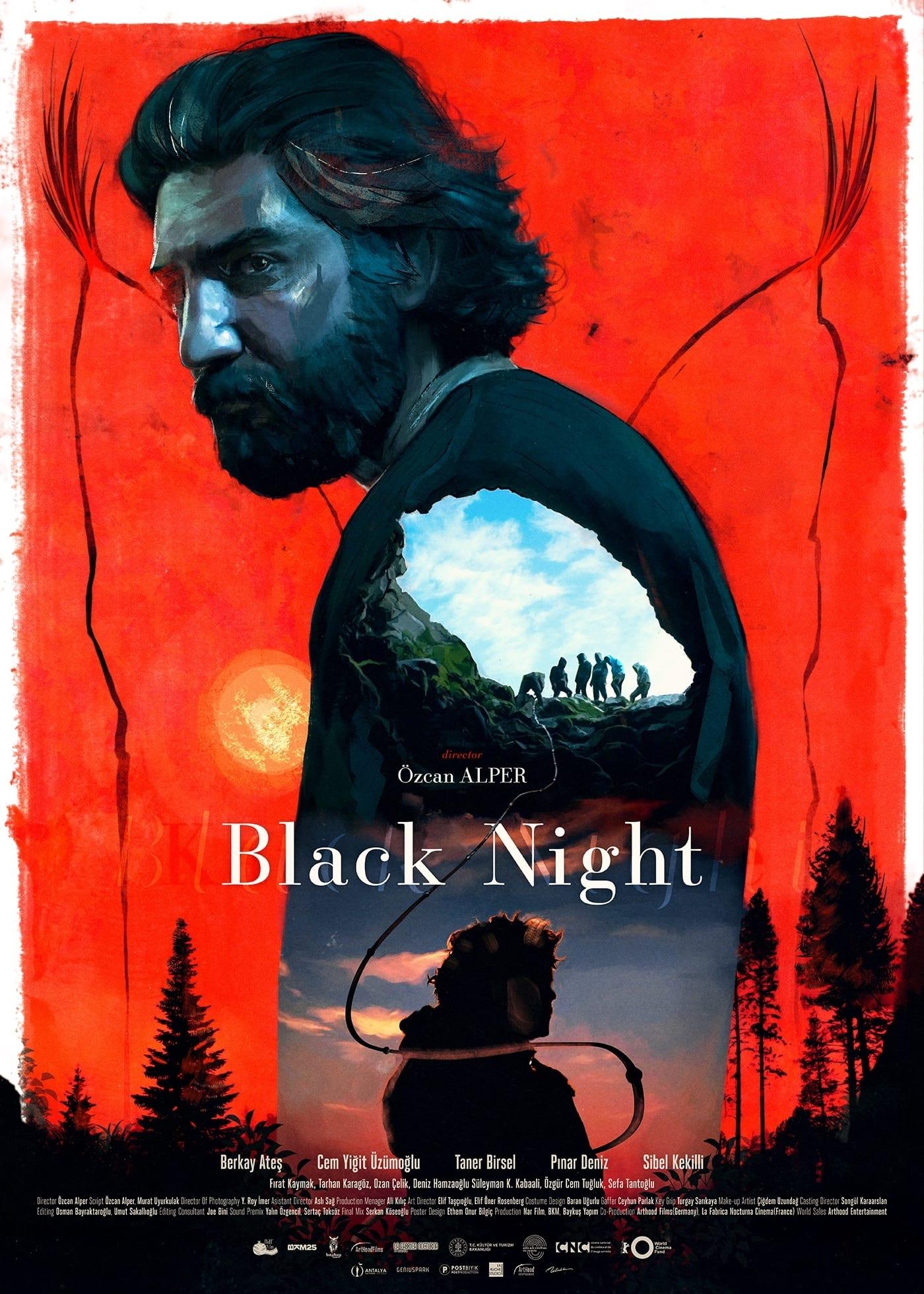 Black Night poster