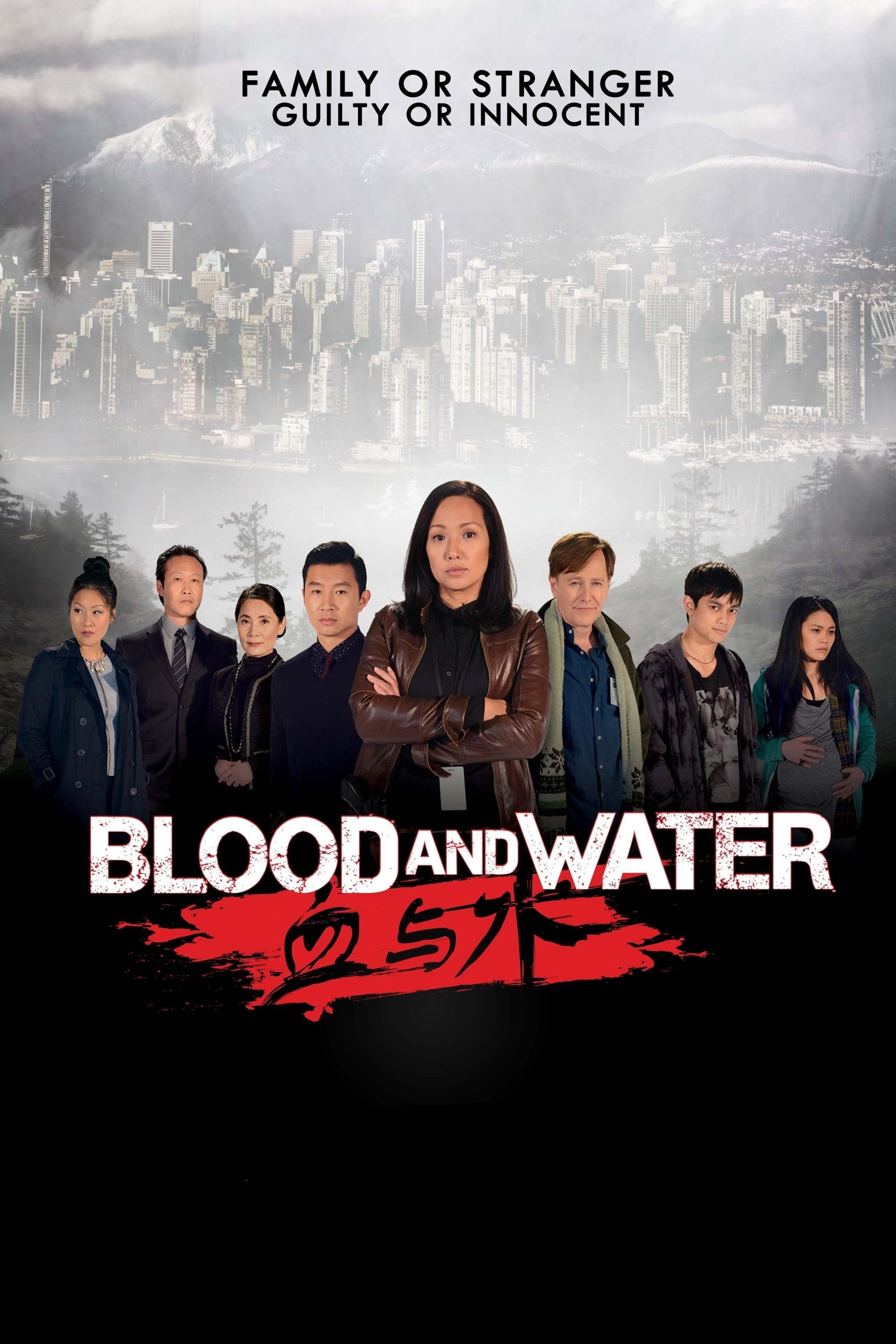 Blood and Water poster