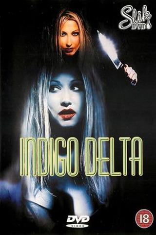 Indigo Delta poster
