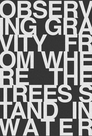 Observing Gravity From Where The Trees Stand In Water poster
