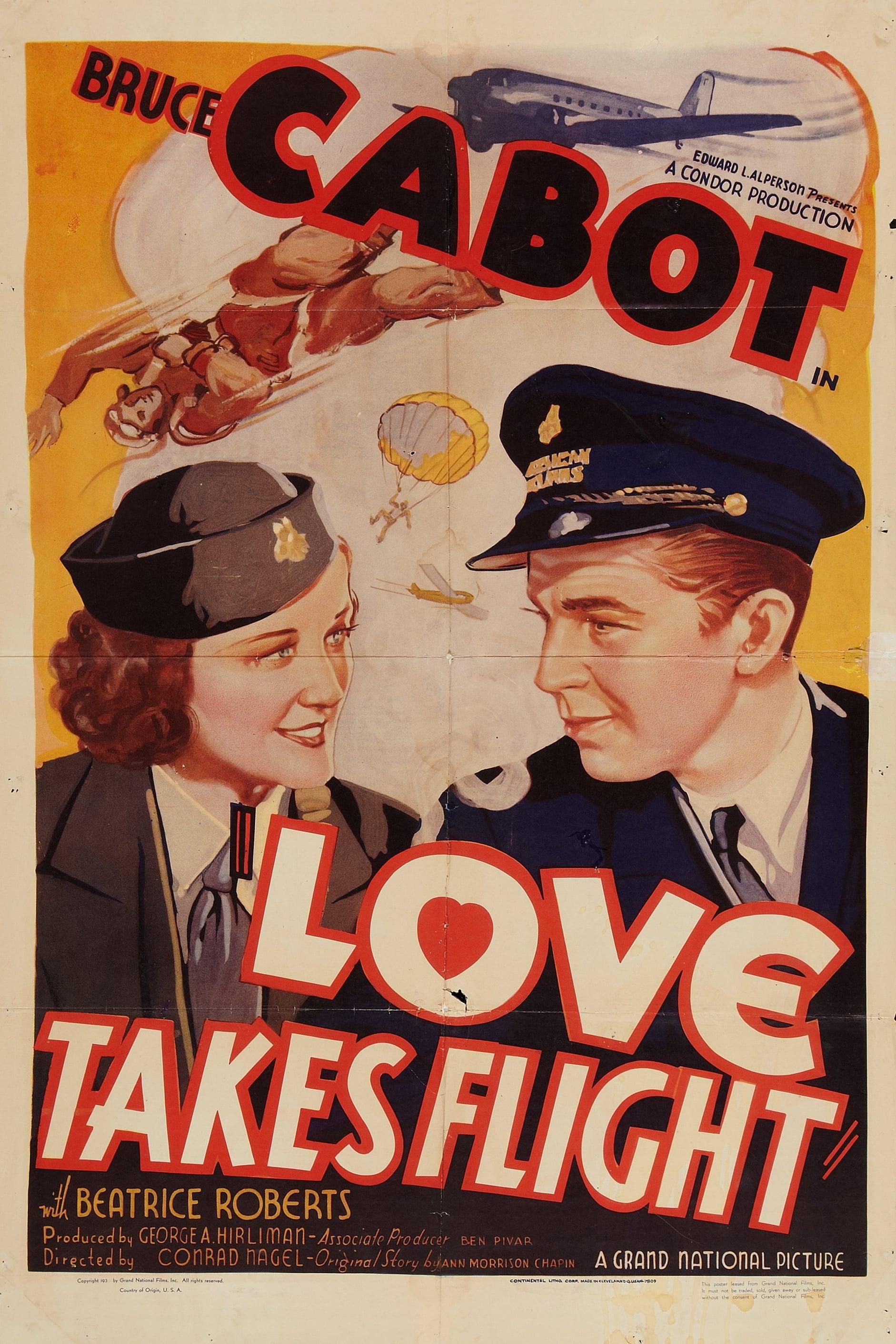 Love Takes Flight poster
