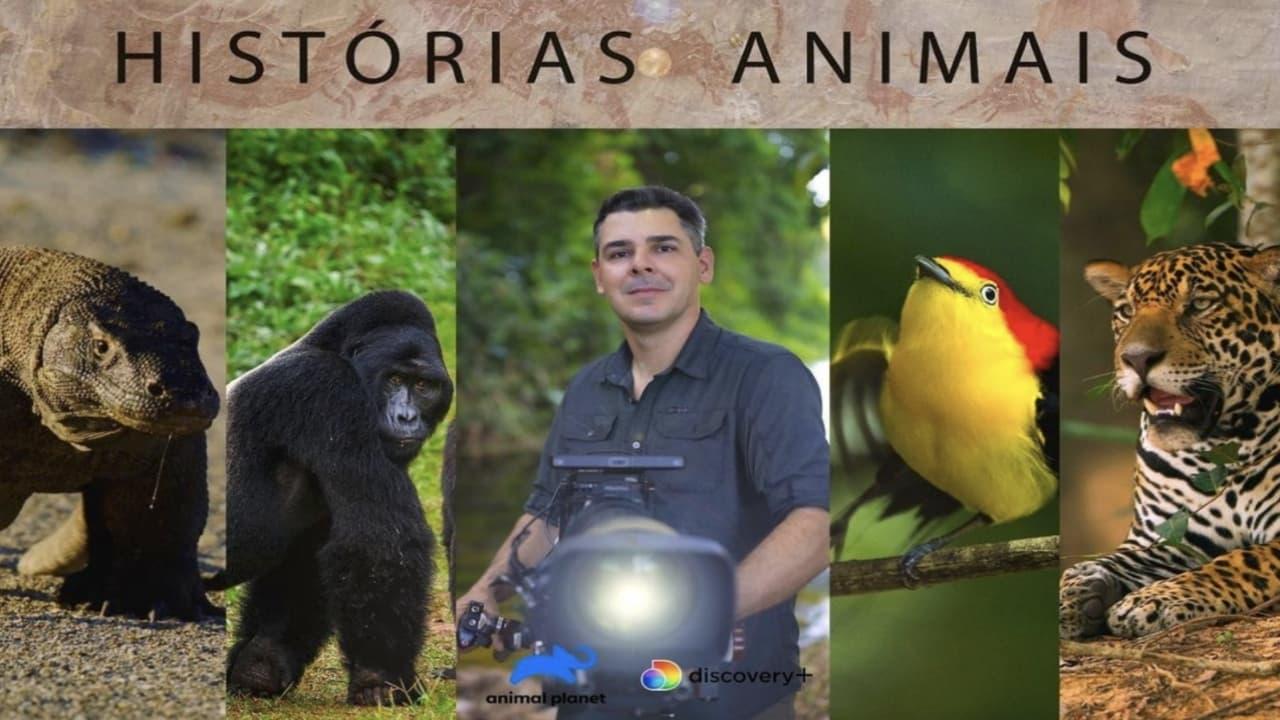 Histórias de Animais backdrop