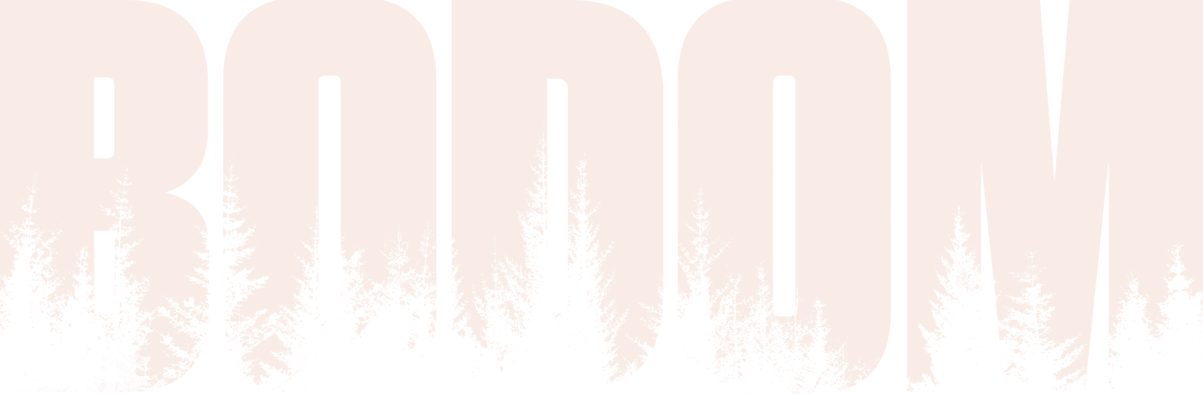 Lake Bodom logo
