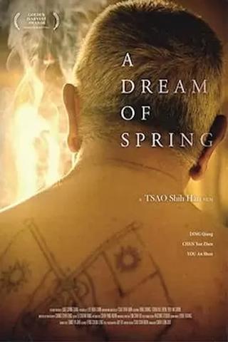A Dream of Spring poster