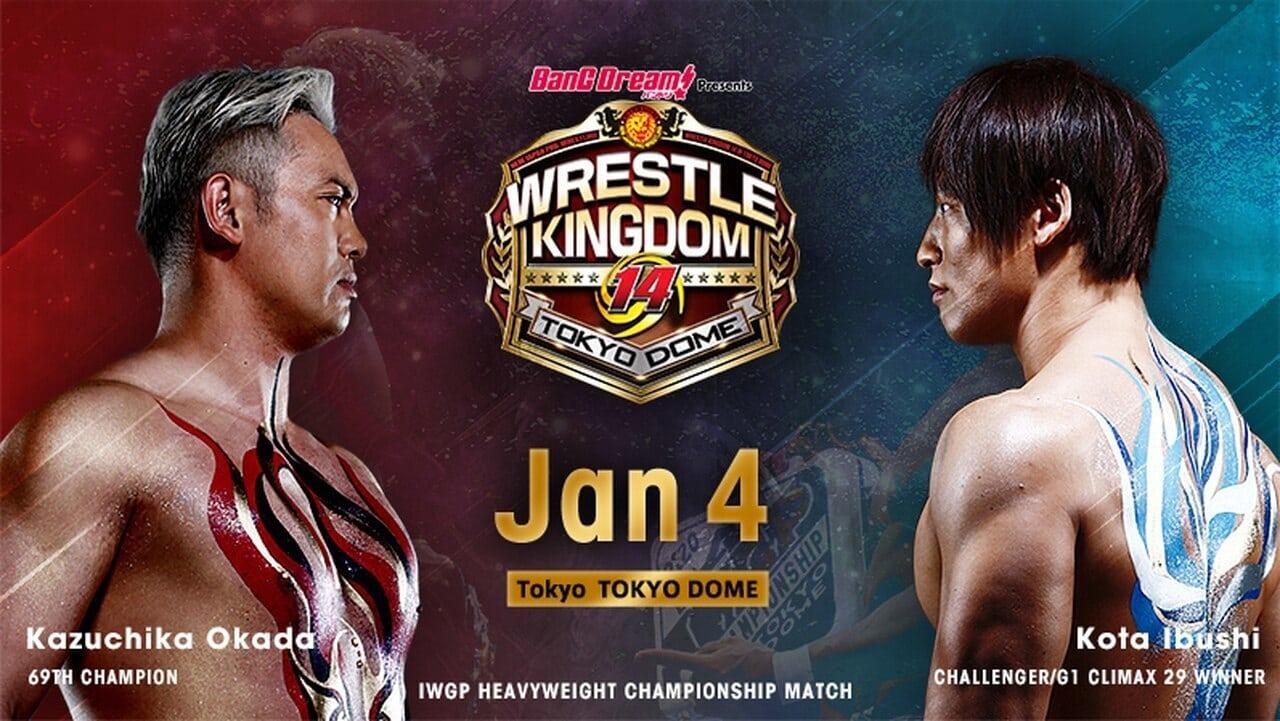 NJPW Wrestle Kingdom 14: Night 1 backdrop