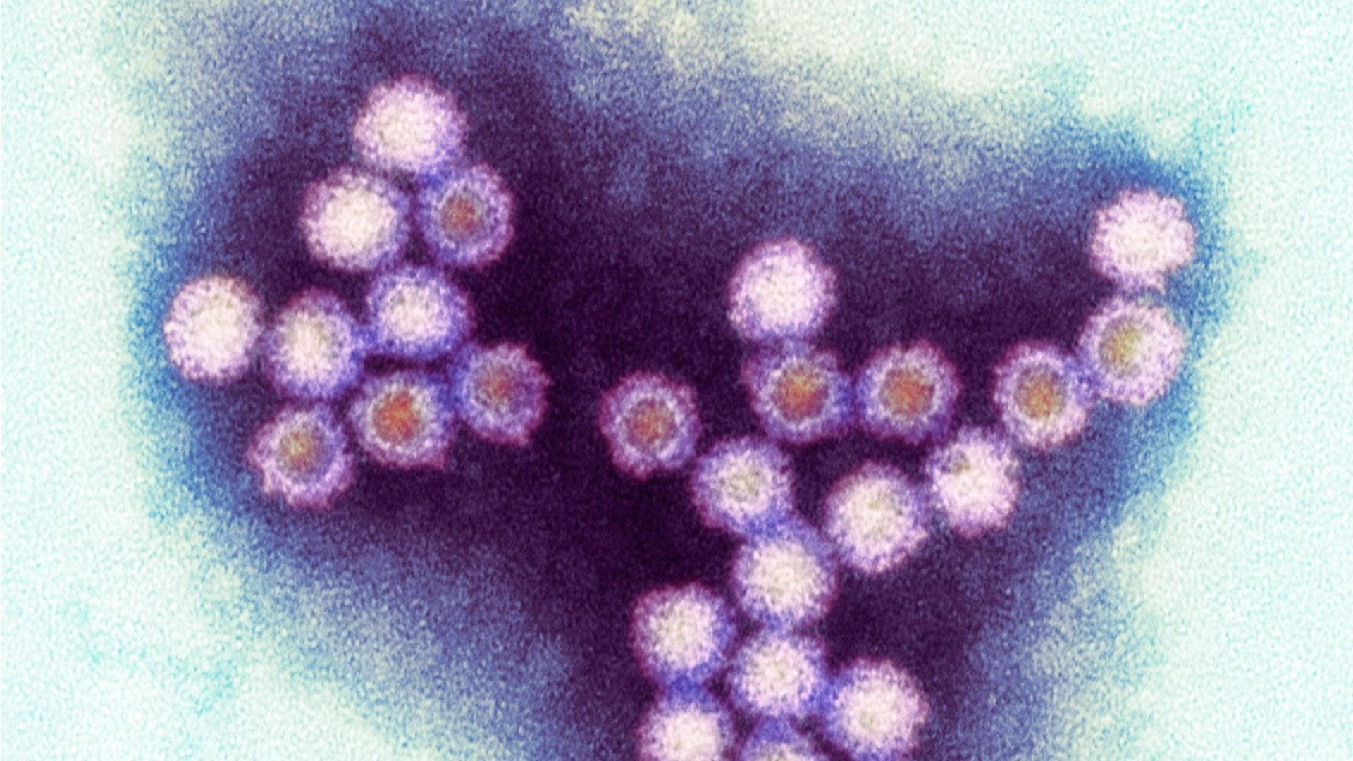 Winter Viruses and How to Beat Them backdrop
