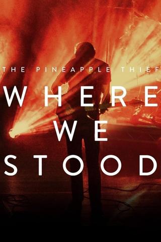 The Pineapple Thief: Where We Stood poster