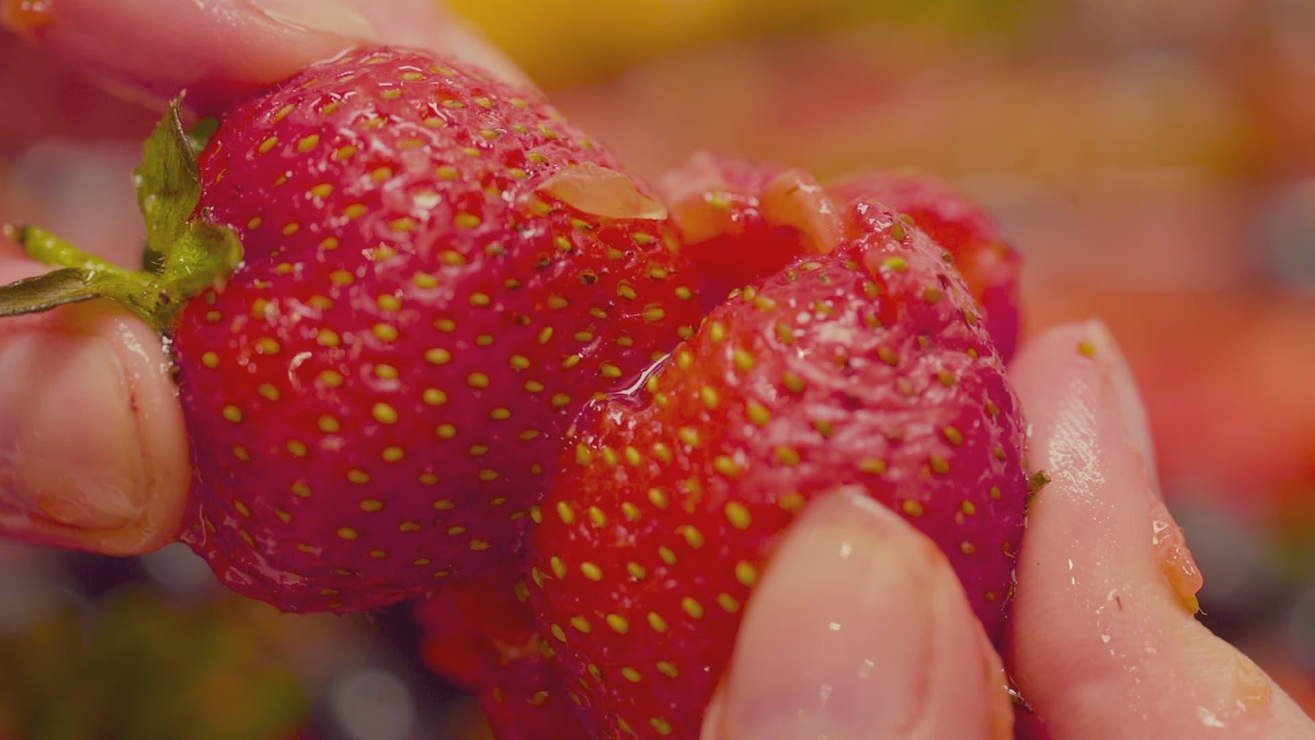 Fruity backdrop