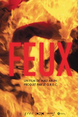 Feux poster