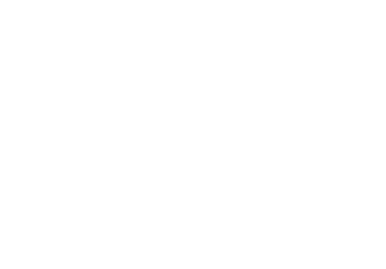 Storm Boy logo