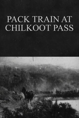 Pack Train at Chilkoot Pass poster