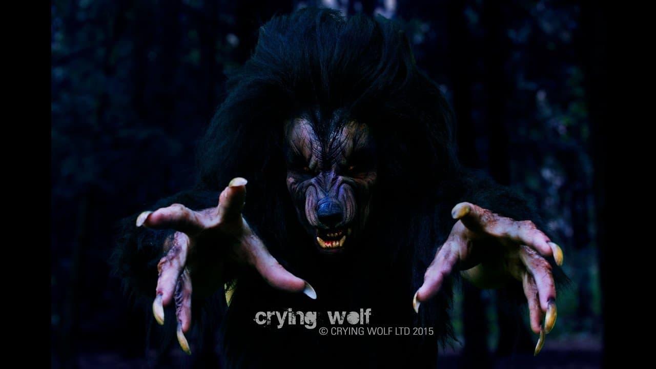 Crying Wolf backdrop