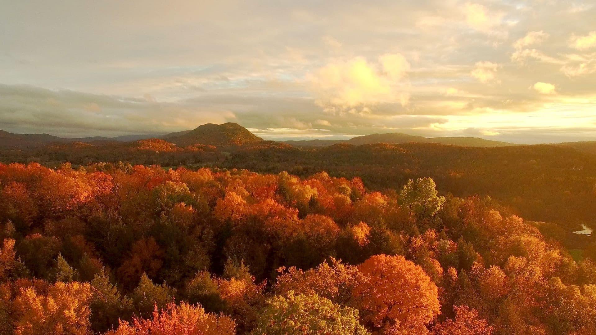 America's Wild Seasons backdrop
