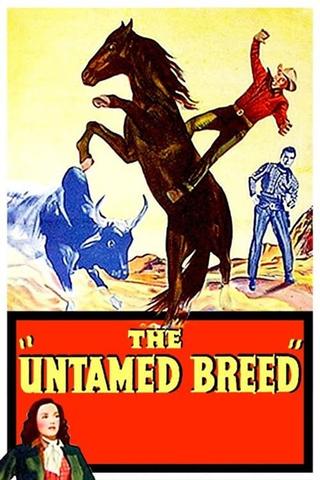 The Untamed Breed poster