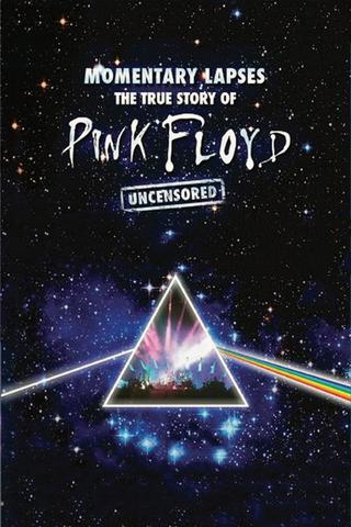 Pink Floyd: Momentary Lapses - The True Story of Pink Floyd poster