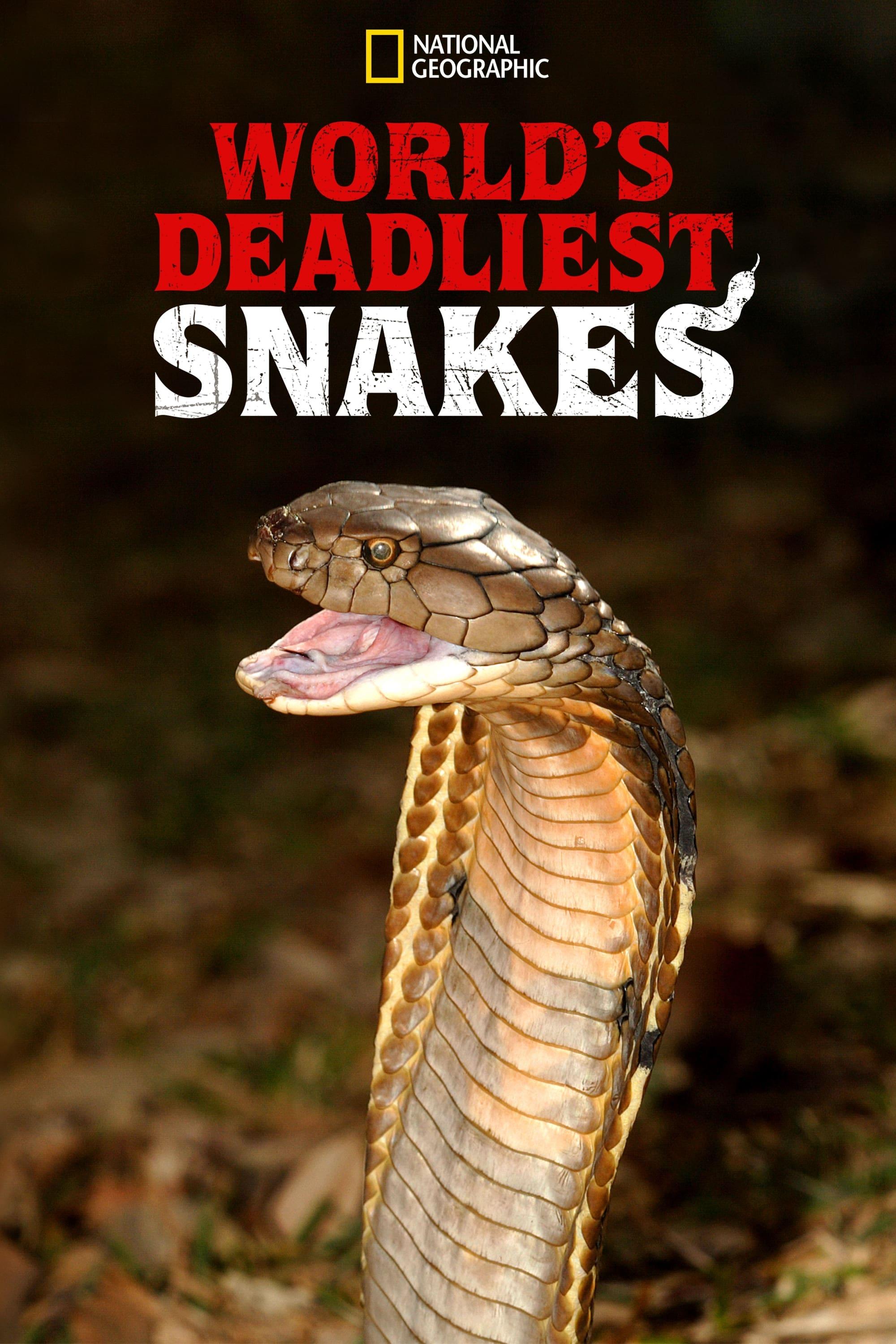 World's Deadliest Snakes poster