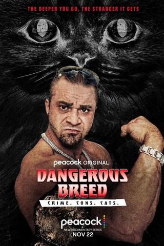 Dangerous Breed: Crime. Cons. Cats. poster