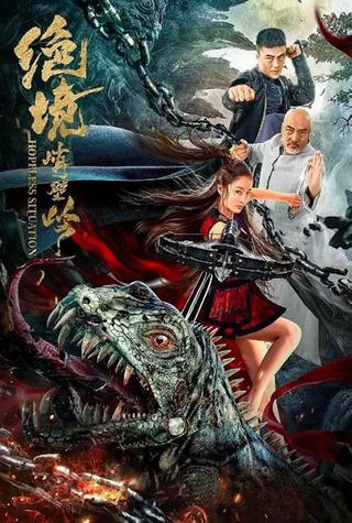 Kung Fu Master Su poster