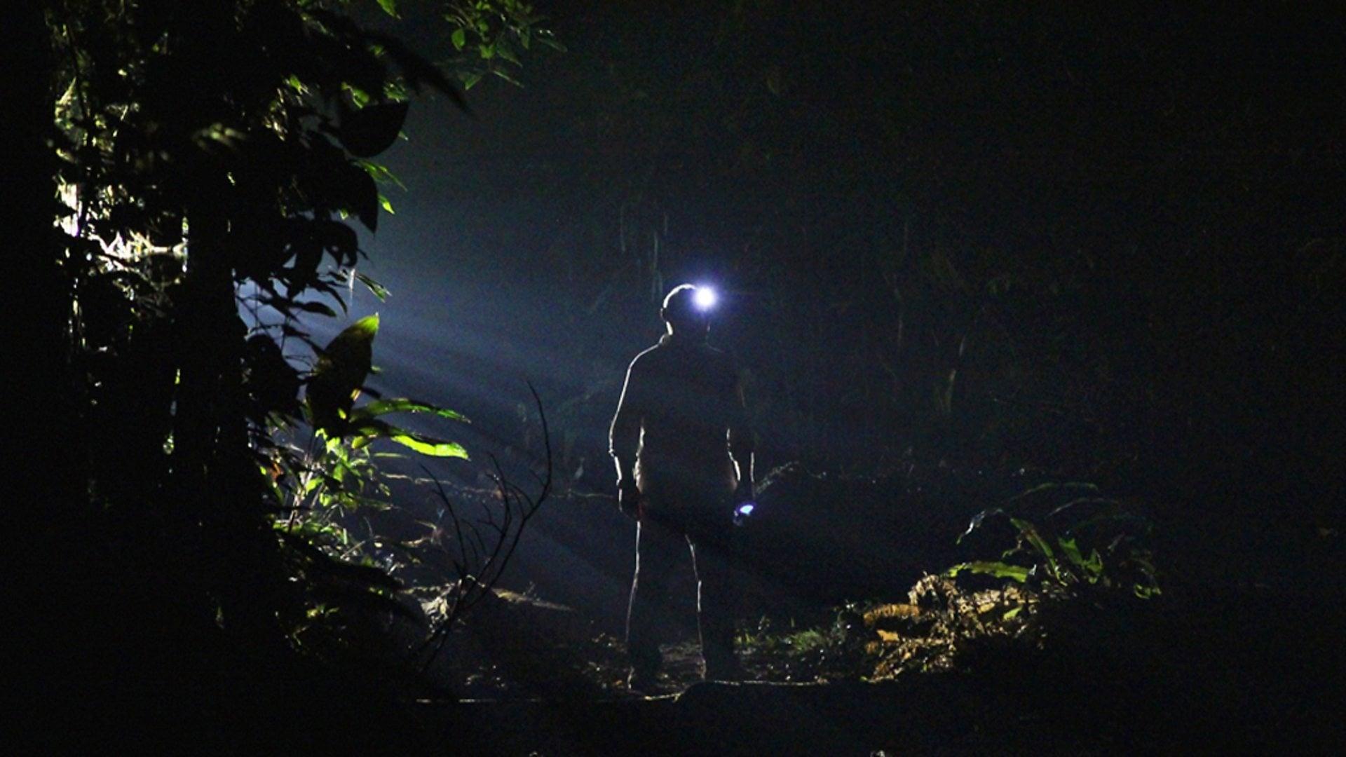 The Dark: Nature's Nighttime World backdrop