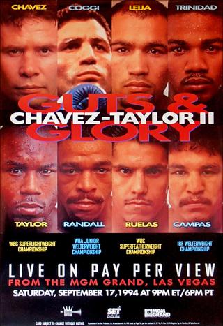 Julio César Chávez vs. Meldrick Taylor II poster