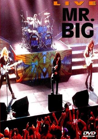 Mr. Big: Live poster