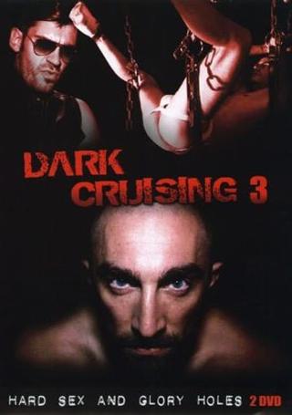 Dark Cruising 3 poster