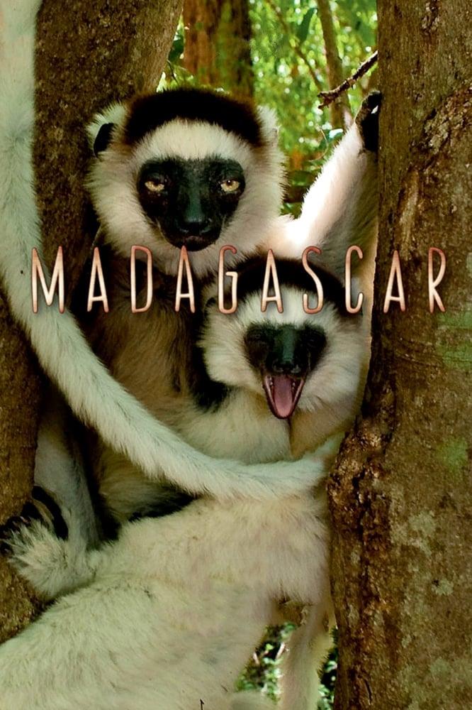 Madagascar poster