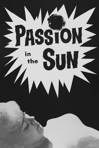 Passion in the Sun poster