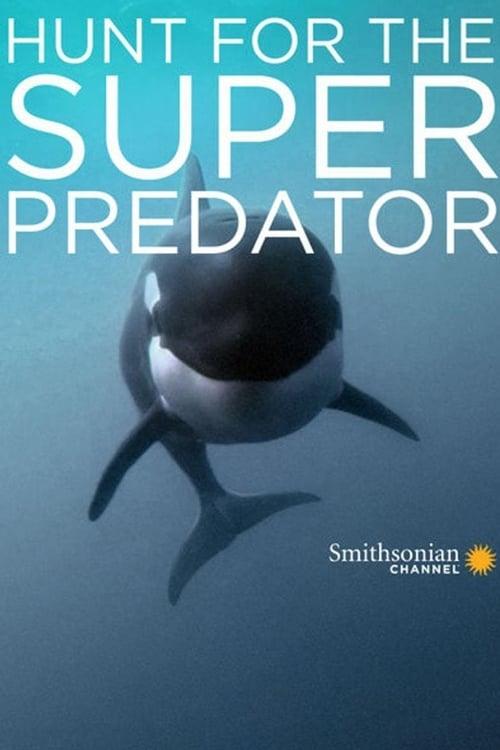 The Search for the Ocean's Super Predator poster