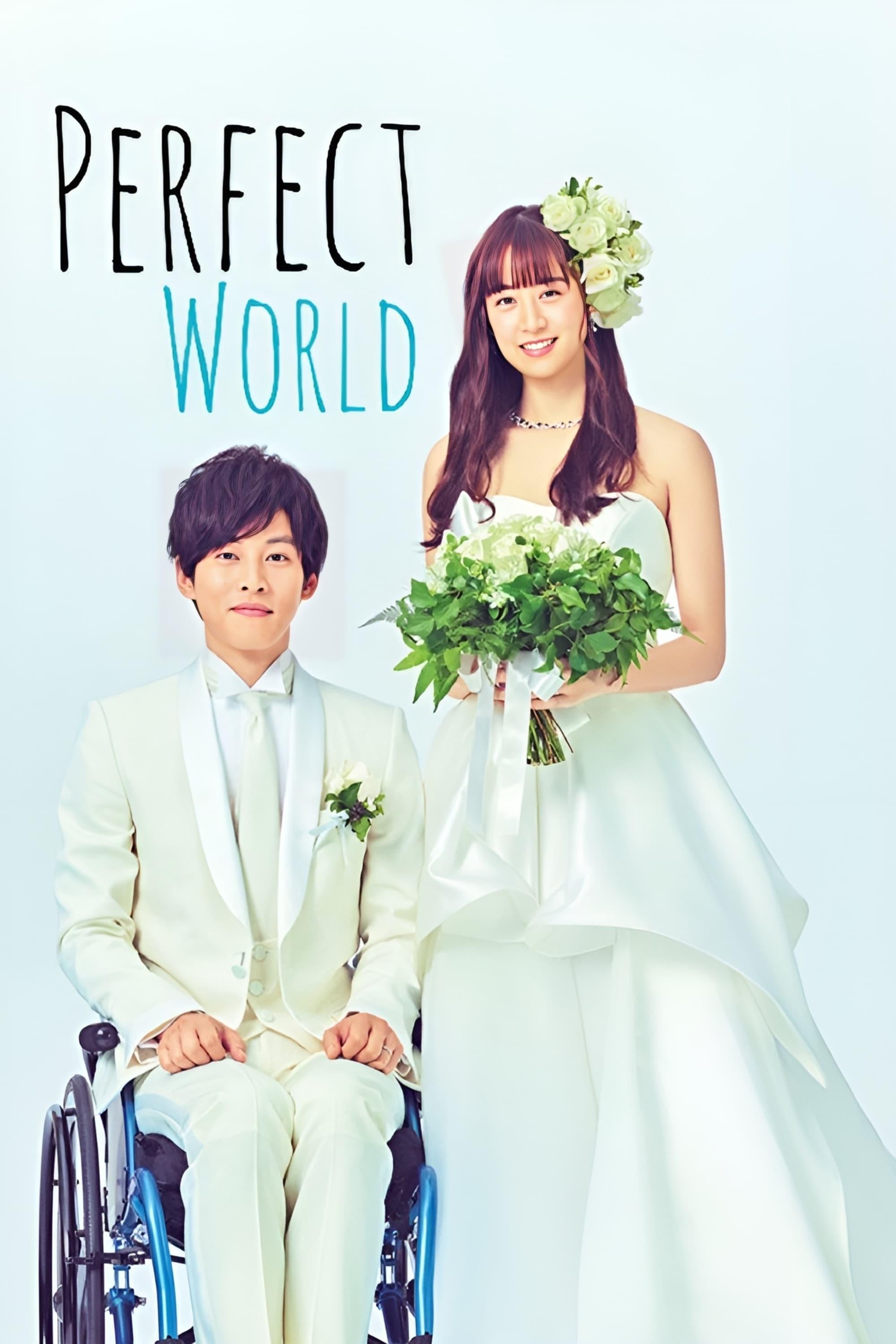 Perfect World poster