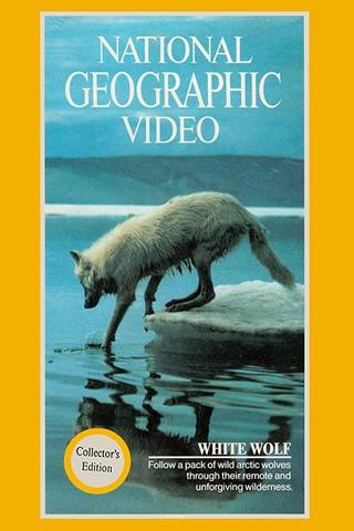 National Geographic: White Wolf poster