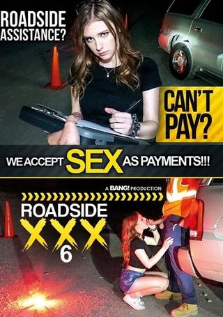 Roadside XXX 6 poster