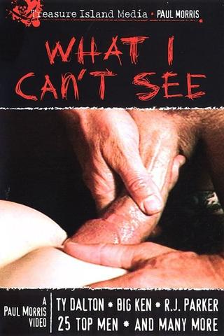 What I Can't See poster