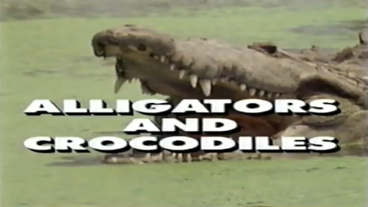 Predators of the Wild: Crocodiles and Alligators backdrop