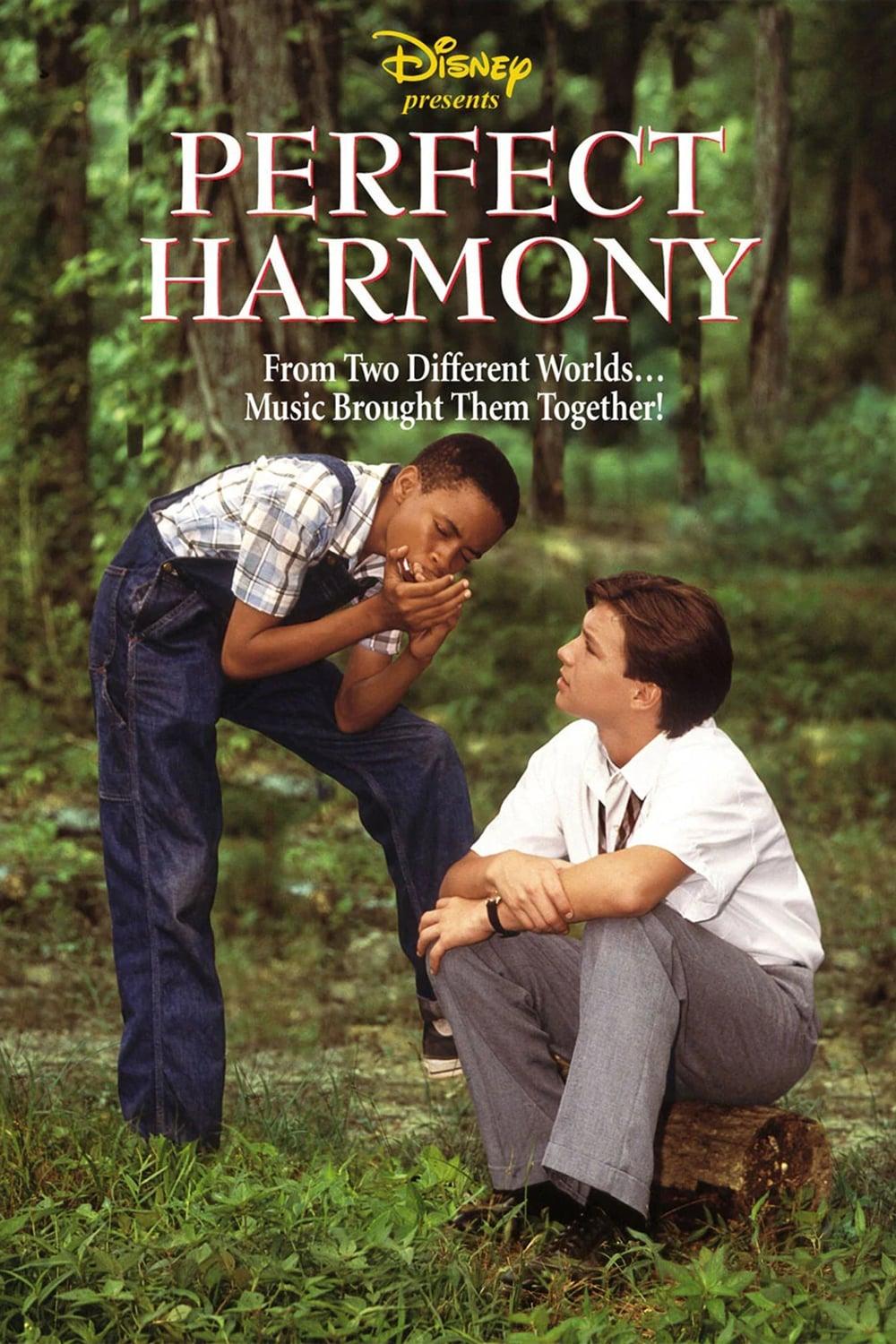 Perfect Harmony poster