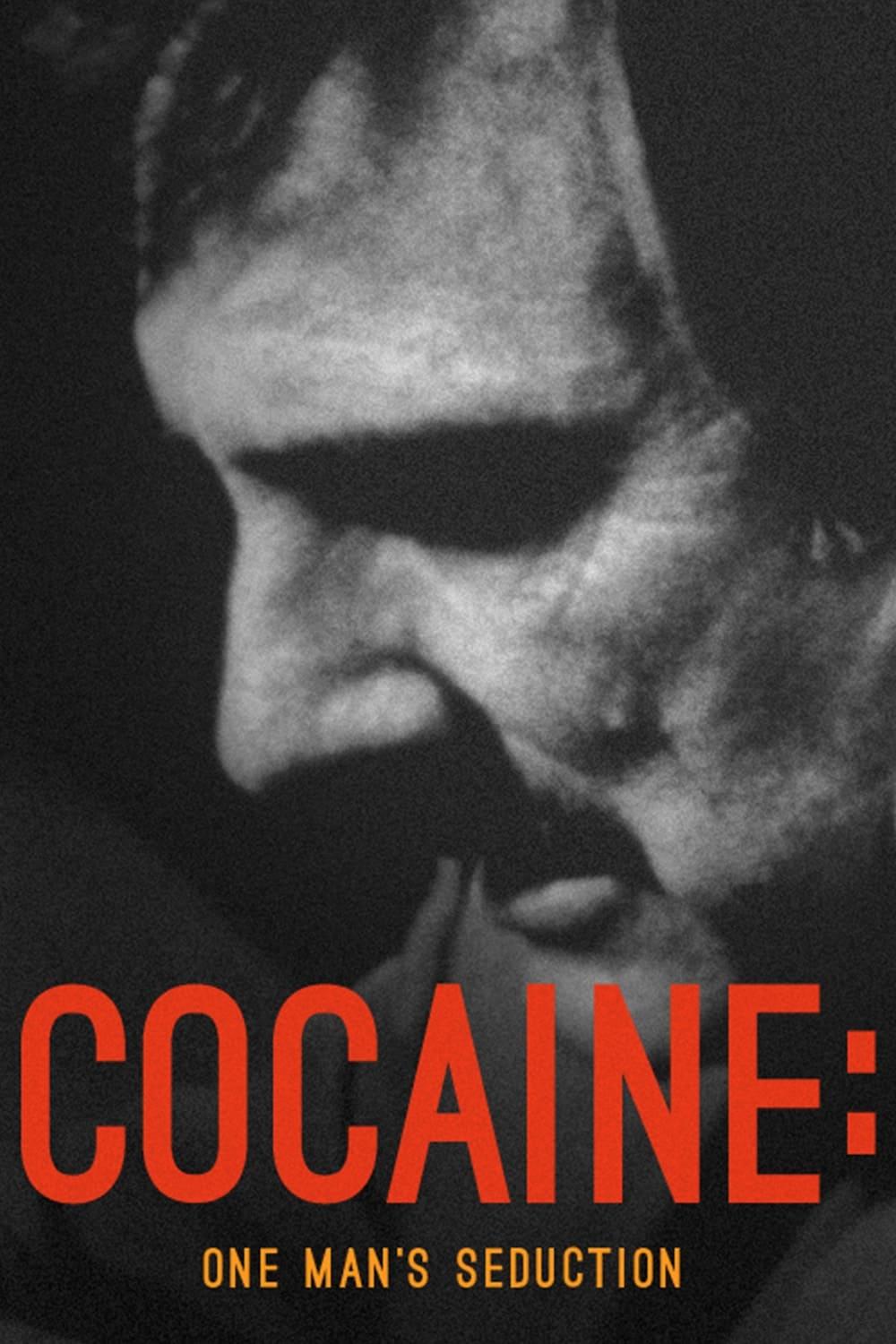 Cocaine: One Man's Seduction poster